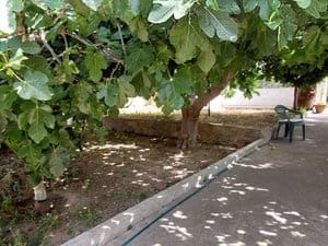 3 bedroom Villa for sale in Palma de Mallorca - € 1,995,000 (Ref: 9143712)