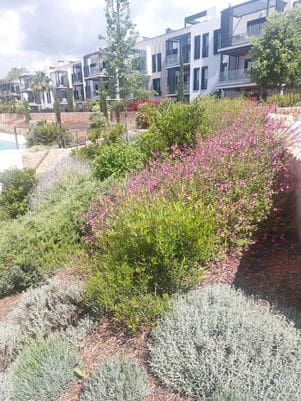 3 bedroom Apartment for rent in Son Vida with pool garage - € 3,500 (Ref: 9922856)