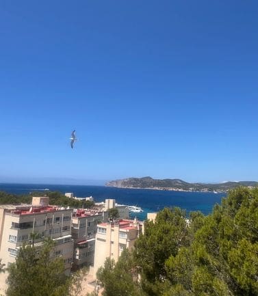 2 sypialnia Apartament na sprzedaż w Costa de la Calma z basenem - 689 000 € (Ref: 9943270)