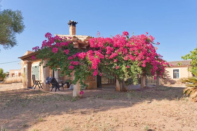 3 soveværelse Finca/Landehus til salg i Llucmajor med garage - € 700.000 (Ref: 9980096)