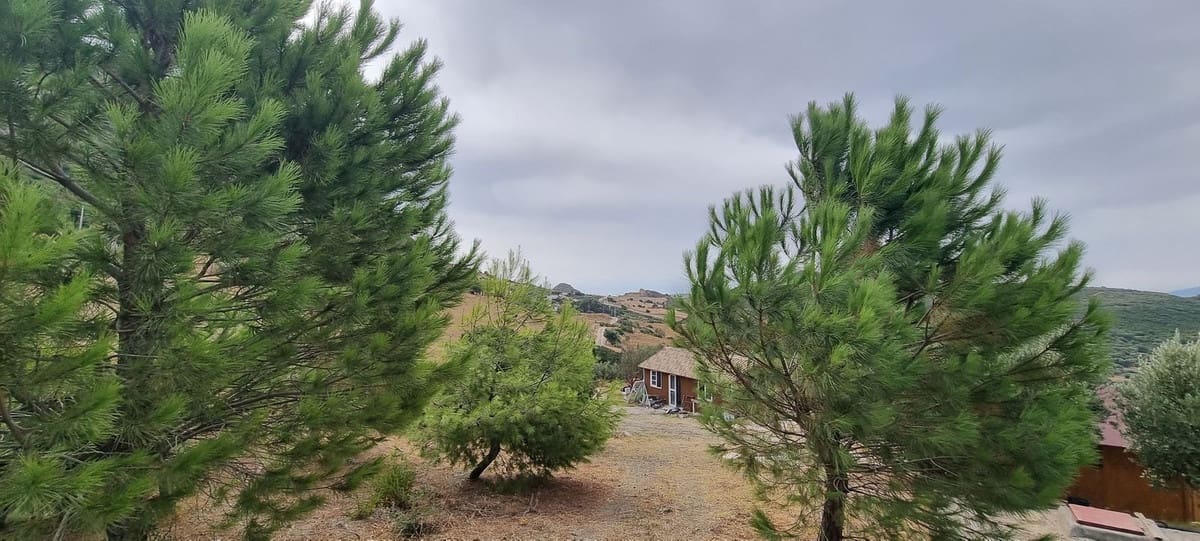 3 soveværelse Finca/Landehus til salg i Casares med swimmingpool - € 1.200.000 (Ref: 4319844)