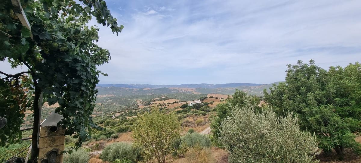 3 bedroom Finca/Country House for sale in Casares with pool - € 1,200,000 (Ref: 4319844)