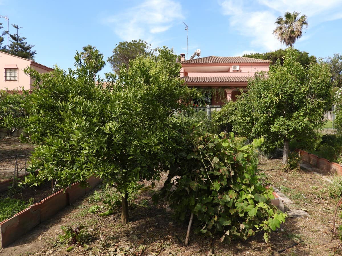 4 soveværelse Villa til salg i Bahia de Casares med swimmingpool garage - € 1.790.000 (Ref: 5339822)