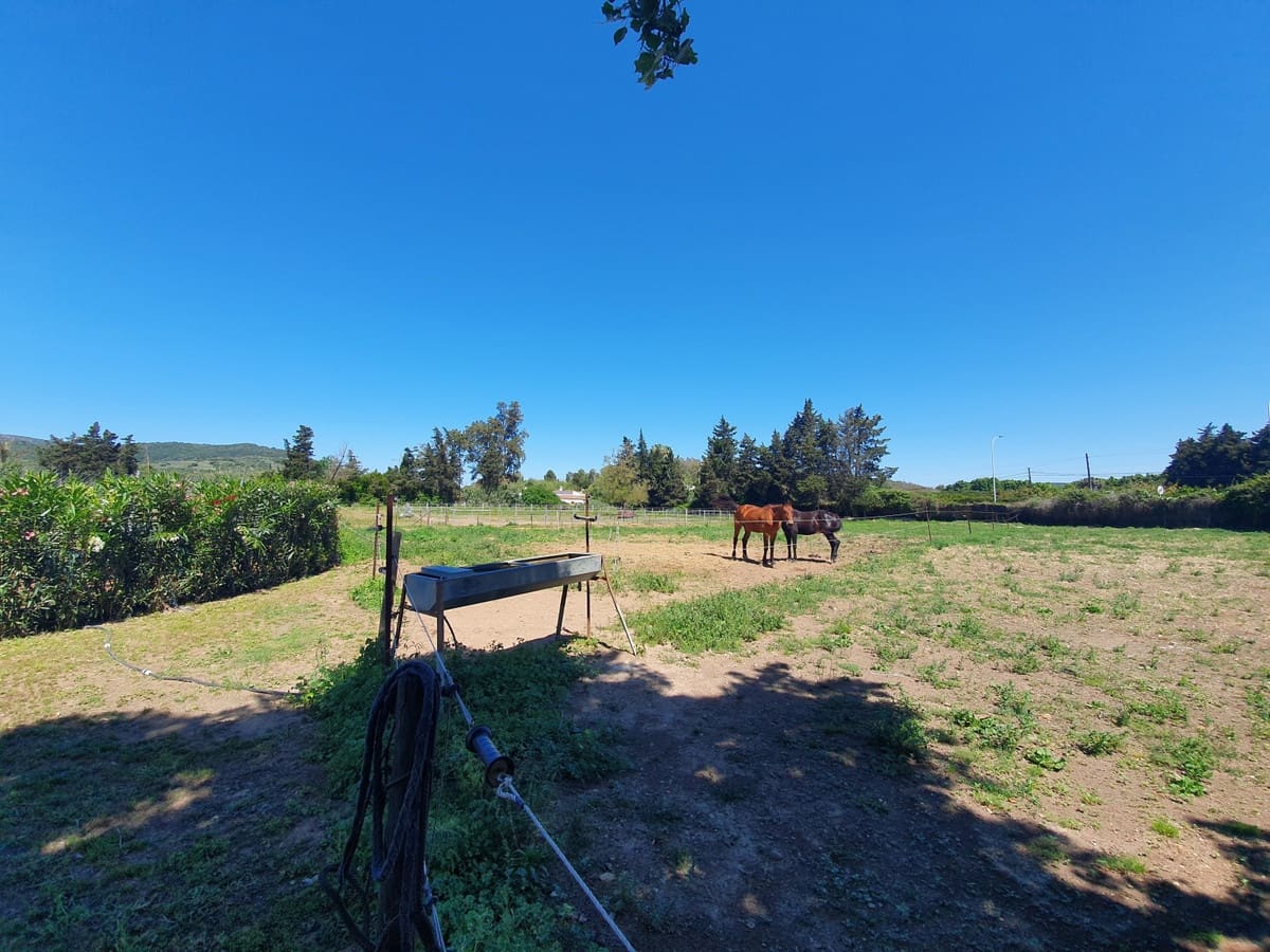11 quarto Quinta/Casa Rural para venda em San Enrique de Guadiaro com piscina garagem - 3 500 000 € (Ref: 6073479)
