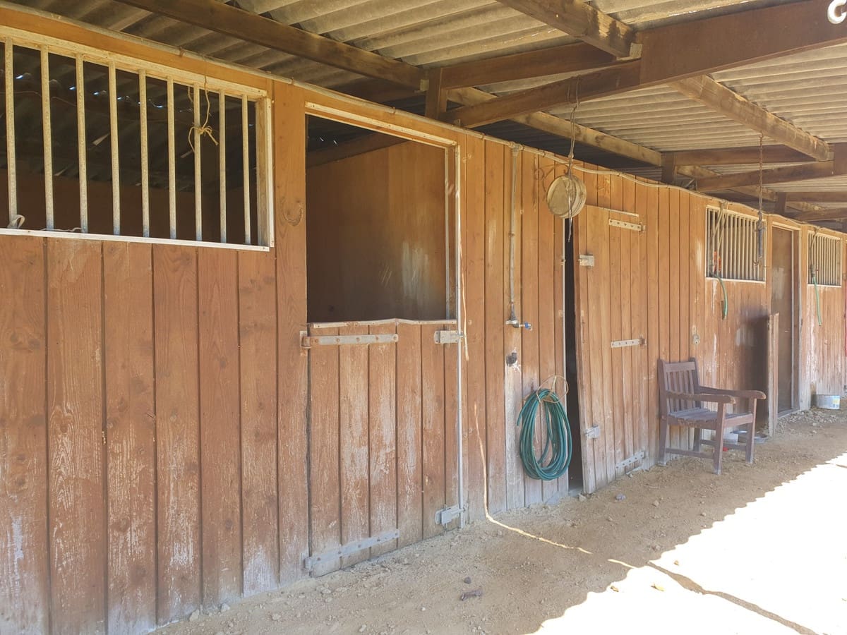 11 quarto Quinta/Casa Rural para venda em San Enrique de Guadiaro com piscina garagem - 3 500 000 € (Ref: 6073479)