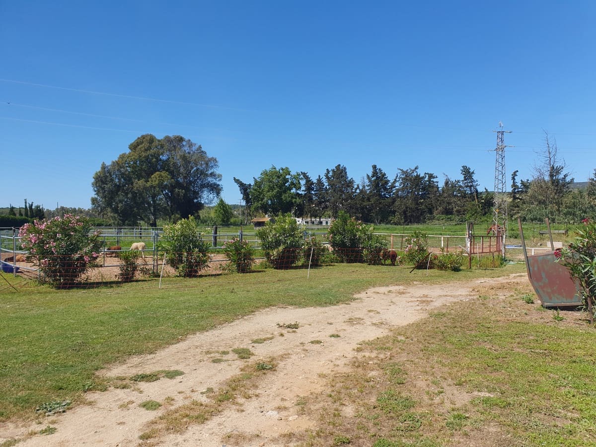 11 quarto Quinta/Casa Rural para venda em San Enrique de Guadiaro com piscina garagem - 3 500 000 € (Ref: 6073479)