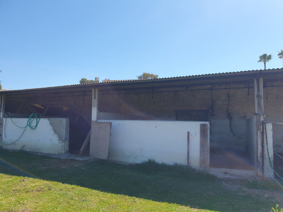 11 sypialnia Finka/Dom wiejski na sprzedaż w San Enrique de Guadiaro z basenem garażem - 3 500 000 € (Ref: 6073479)