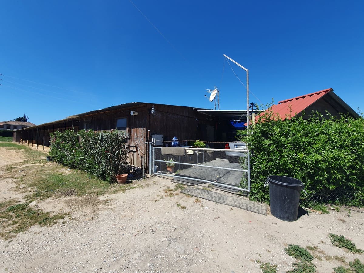 11 sypialnia Finka/Dom wiejski na sprzedaż w San Enrique de Guadiaro z basenem garażem - 3 500 000 € (Ref: 6073479)