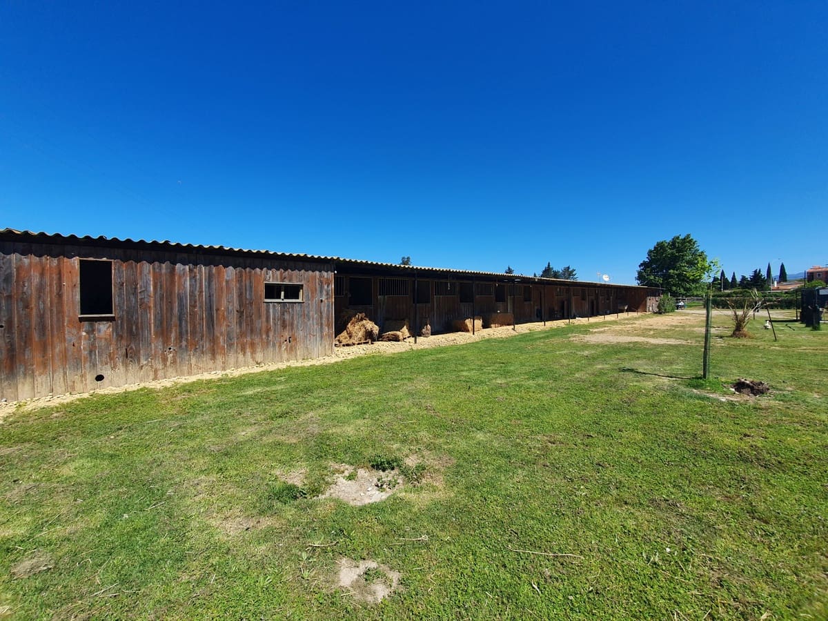 11 sypialnia Finka/Dom wiejski na sprzedaż w San Enrique de Guadiaro z basenem garażem - 3 500 000 € (Ref: 6073479)