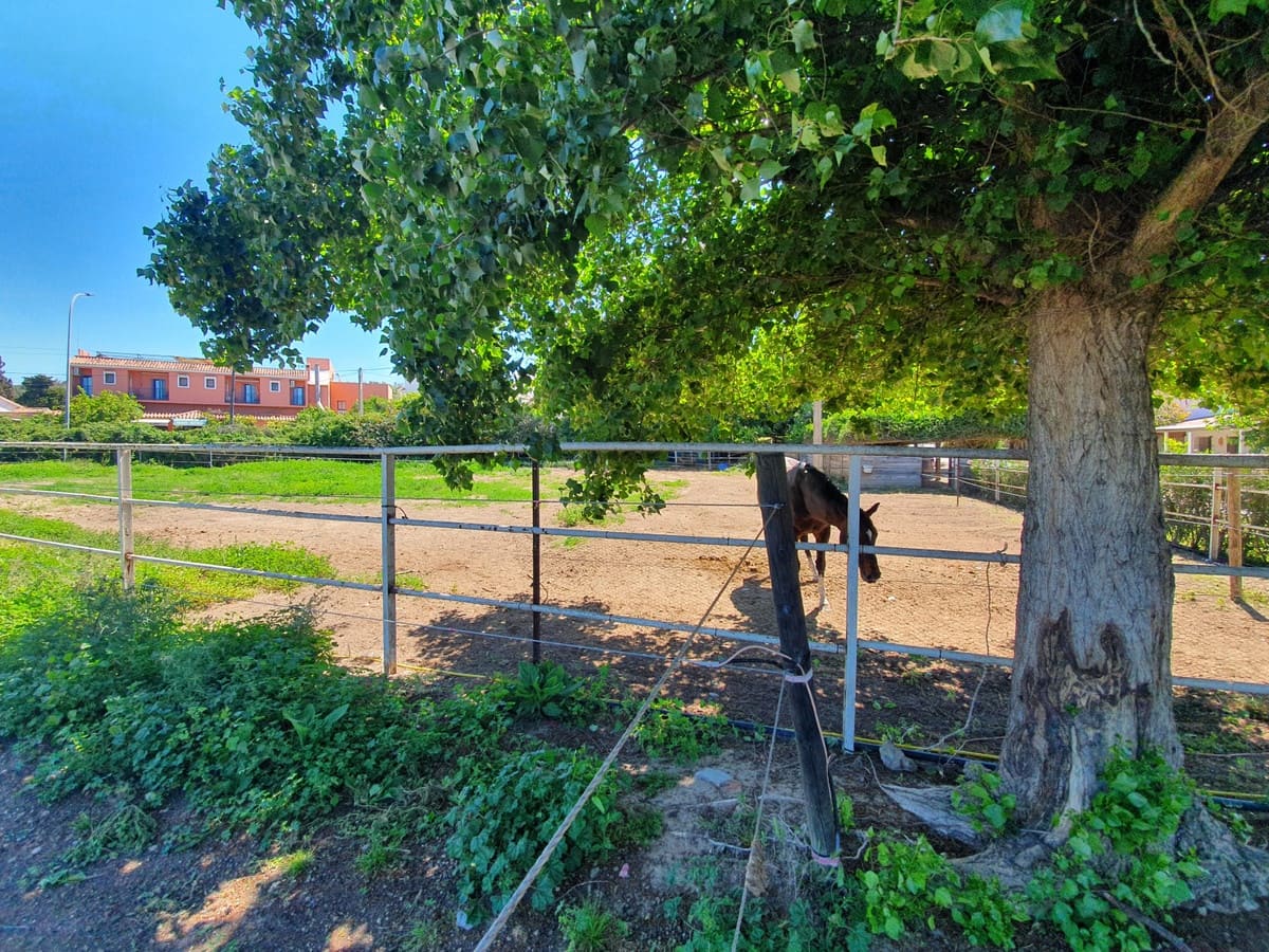 11 sypialnia Finka/Dom wiejski na sprzedaż w San Enrique de Guadiaro z basenem garażem - 3 500 000 € (Ref: 6073479)