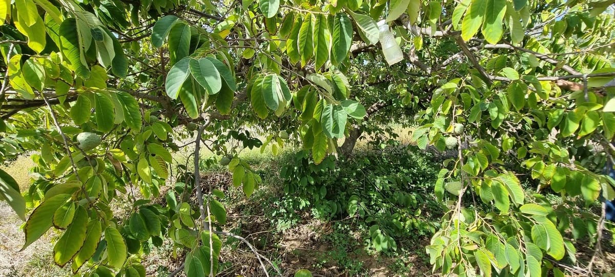 2 soveværelse Finca/Landehus til salg i Estepona - € 525.000 (Ref: 7984435)