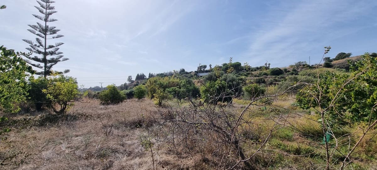 Finca/Casa Rural de 2 habitaciones en Estepona en venta - 525.000 € (Ref: 7984435)