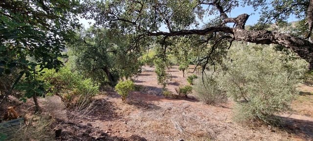 2 quarto Quinta/Casa Rural para venda em Estepona - 525 000 € (Ref: 7984435)