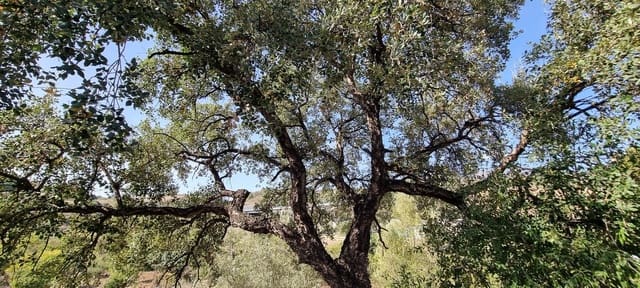 2 quarto Quinta/Casa Rural para venda em Estepona - 525 000 € (Ref: 7984435)