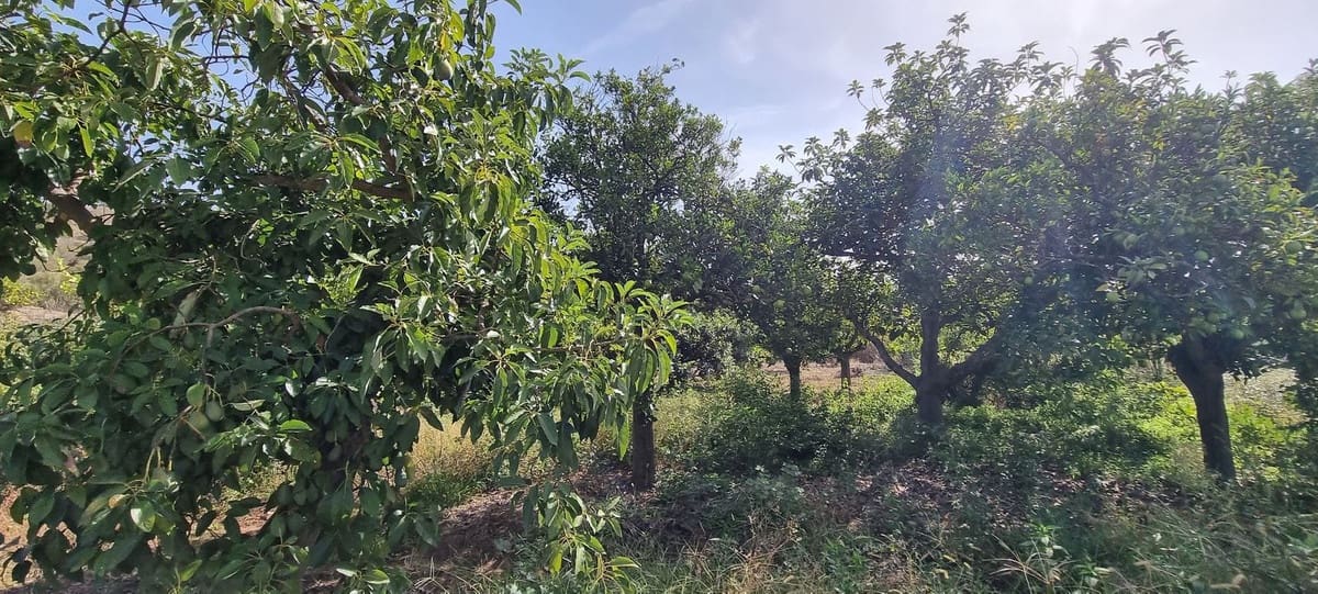 2 soveværelse Finca/Landehus til salg i Estepona - € 525.000 (Ref: 7984435)