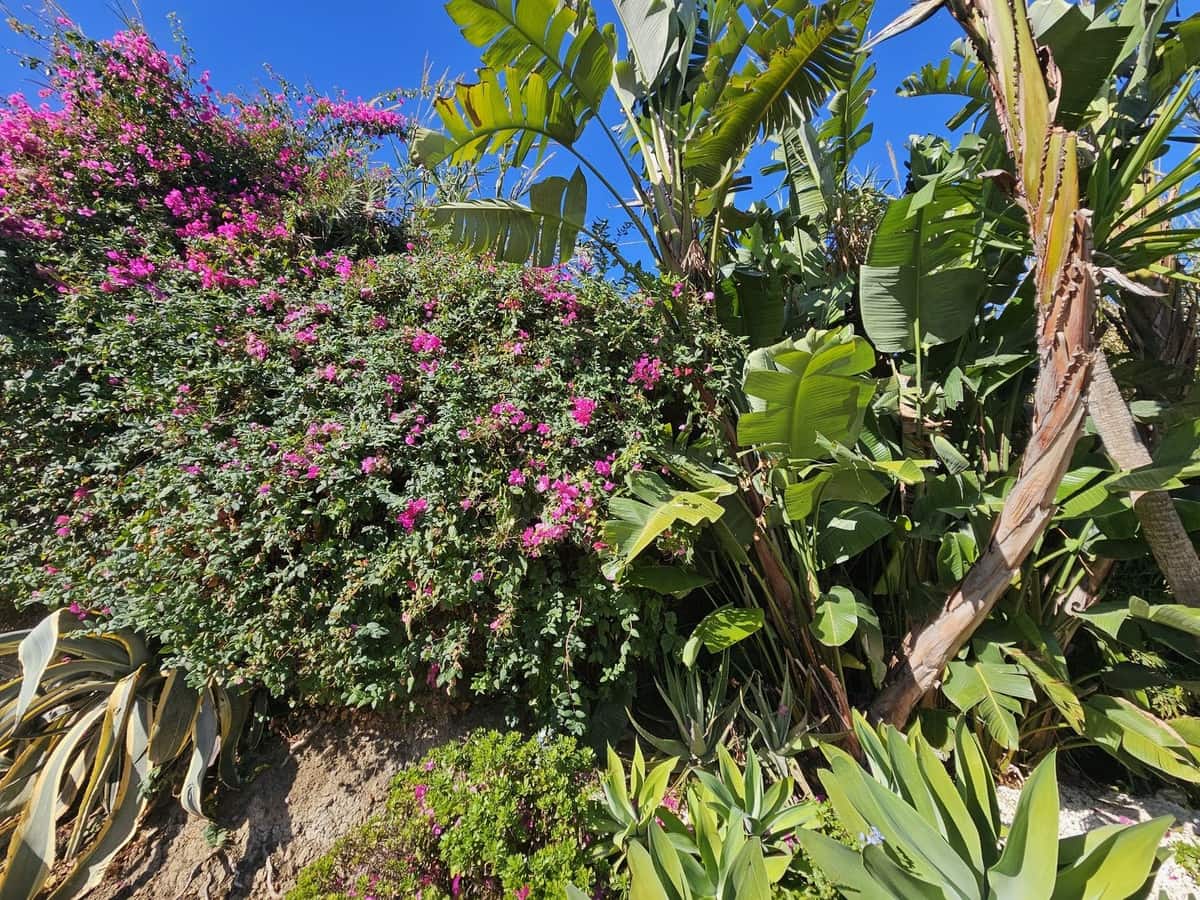 Casa de 3 habitaciones en Estepona en venta con piscina garaje - 348.000 € (Ref: 8620398)