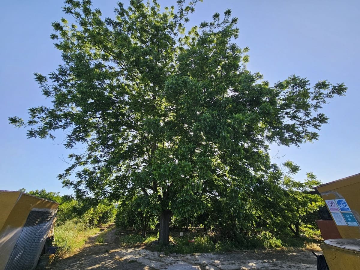 1 camera da letto Finca/Casa di Campagna in vendita in San Martin del Tesorillo - 850.000 € (Rif: 9063712)