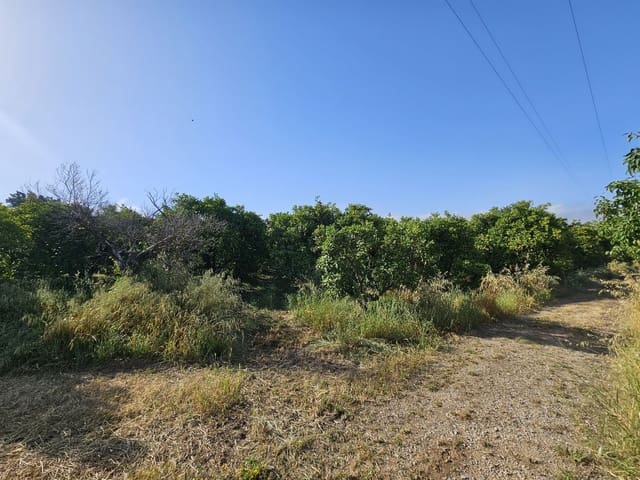 1 bedroom Finca/Country House for sale in San Martin del Tesorillo - € 799,000 (Ref: 9063712)