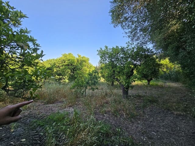 1 chambre Finca/Maison de Campagne à vendre à San Martin del Tesorillo - 799 000 € (Ref: 9063712)