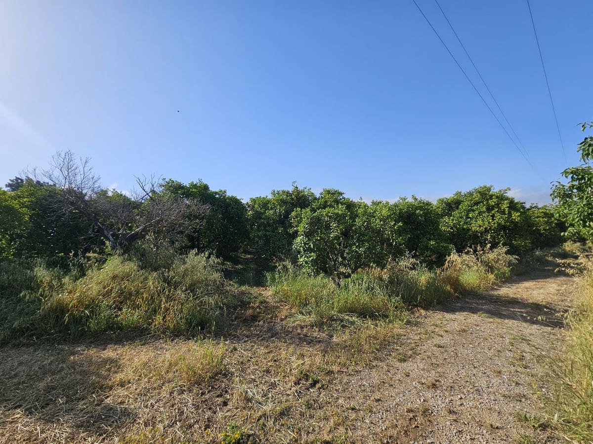 1 soveværelse Finca/Landehus til salg i San Martin del Tesorillo - € 799.000 (Ref: 9063712)