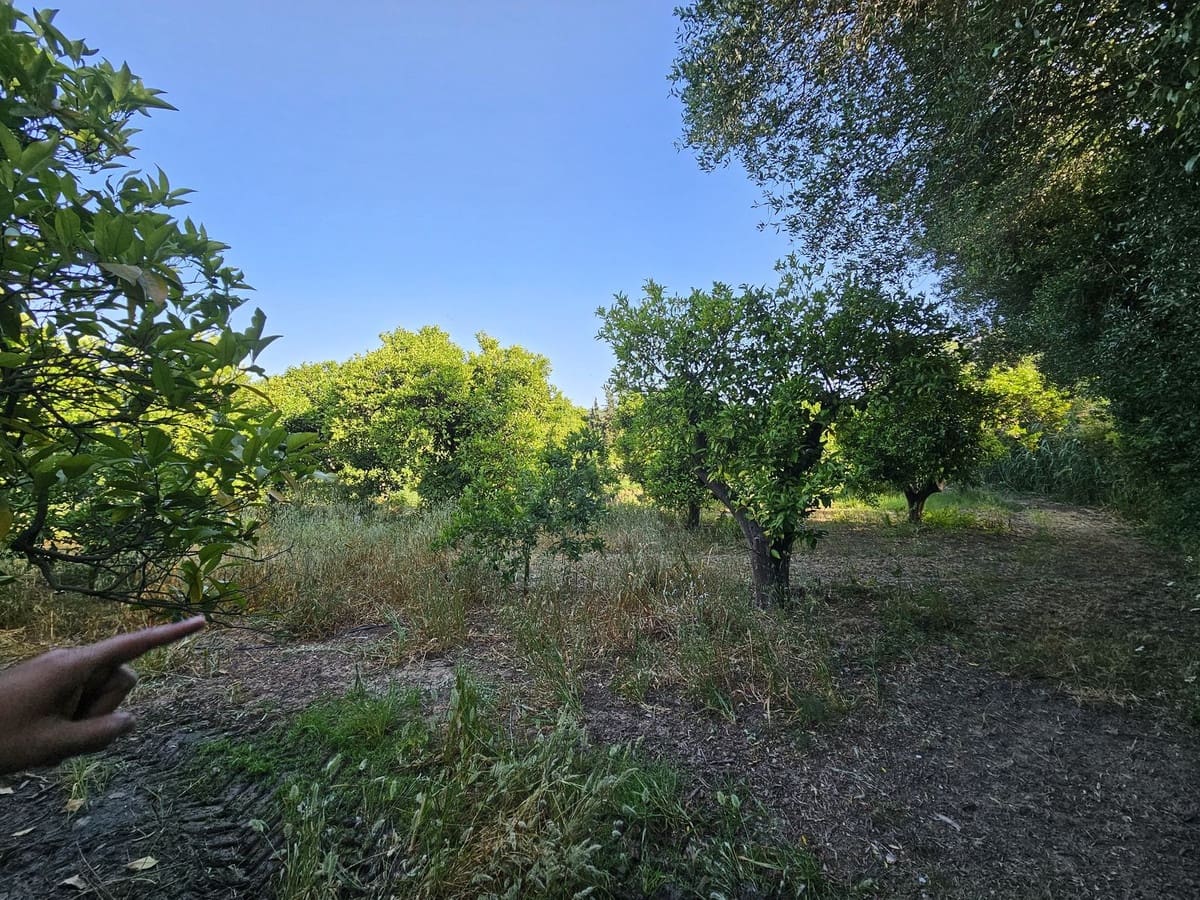 1 soverom Finca/Herregård til salgs i San Martin del Tesorillo - € 799 000 (Ref: 9063712)