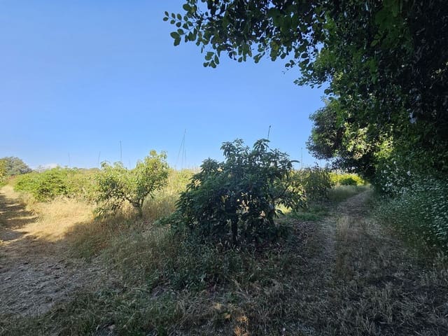 1 chambre Finca/Maison de Campagne à vendre à San Martin del Tesorillo - 799 000 € (Ref: 9063712)