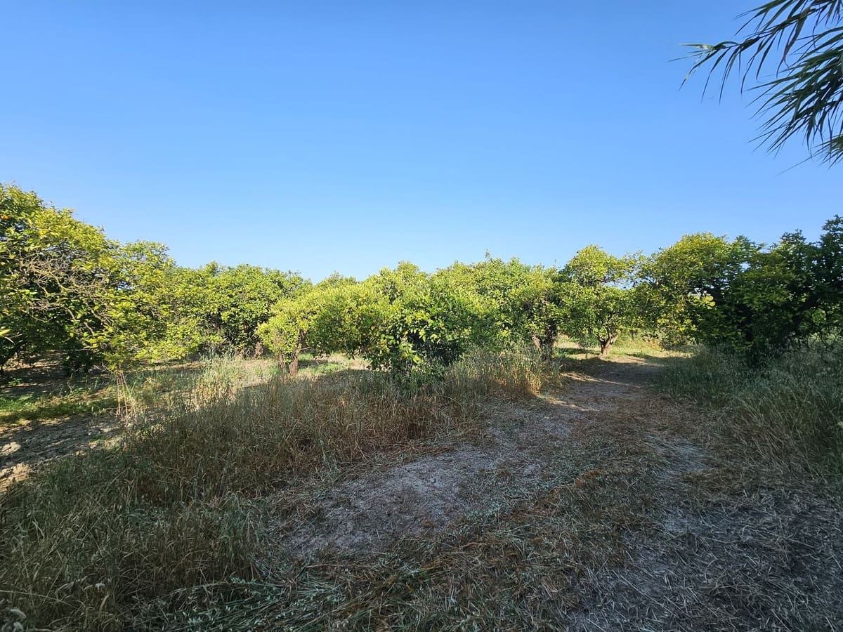 1 soverom Finca/Herregård til salgs i San Martin del Tesorillo - € 799 000 (Ref: 9063712)