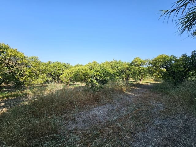 1 chambre Finca/Maison de Campagne à vendre à San Martin del Tesorillo - 799 000 € (Ref: 9063712)