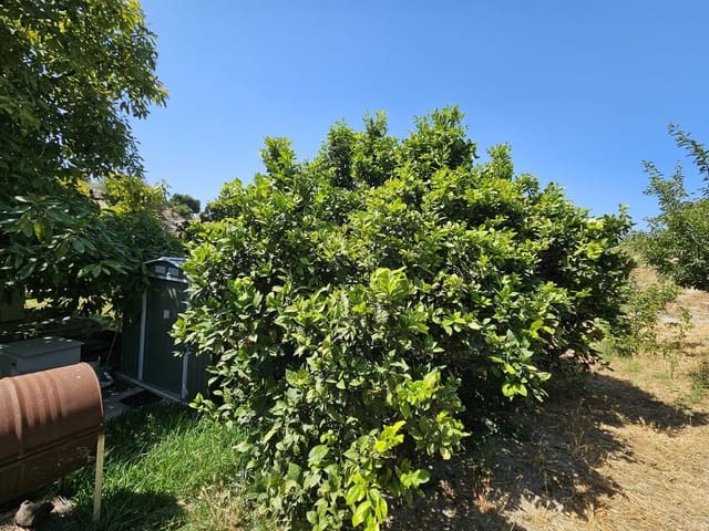 2 soveværelse Finca/Landehus til salg i Casares med swimmingpool - € 479.000 (Ref: 9131773)