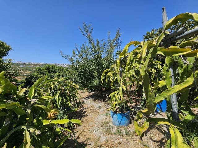 2 soveværelse Finca/Landehus til salg i Casares med swimmingpool - € 479.000 (Ref: 9131773)