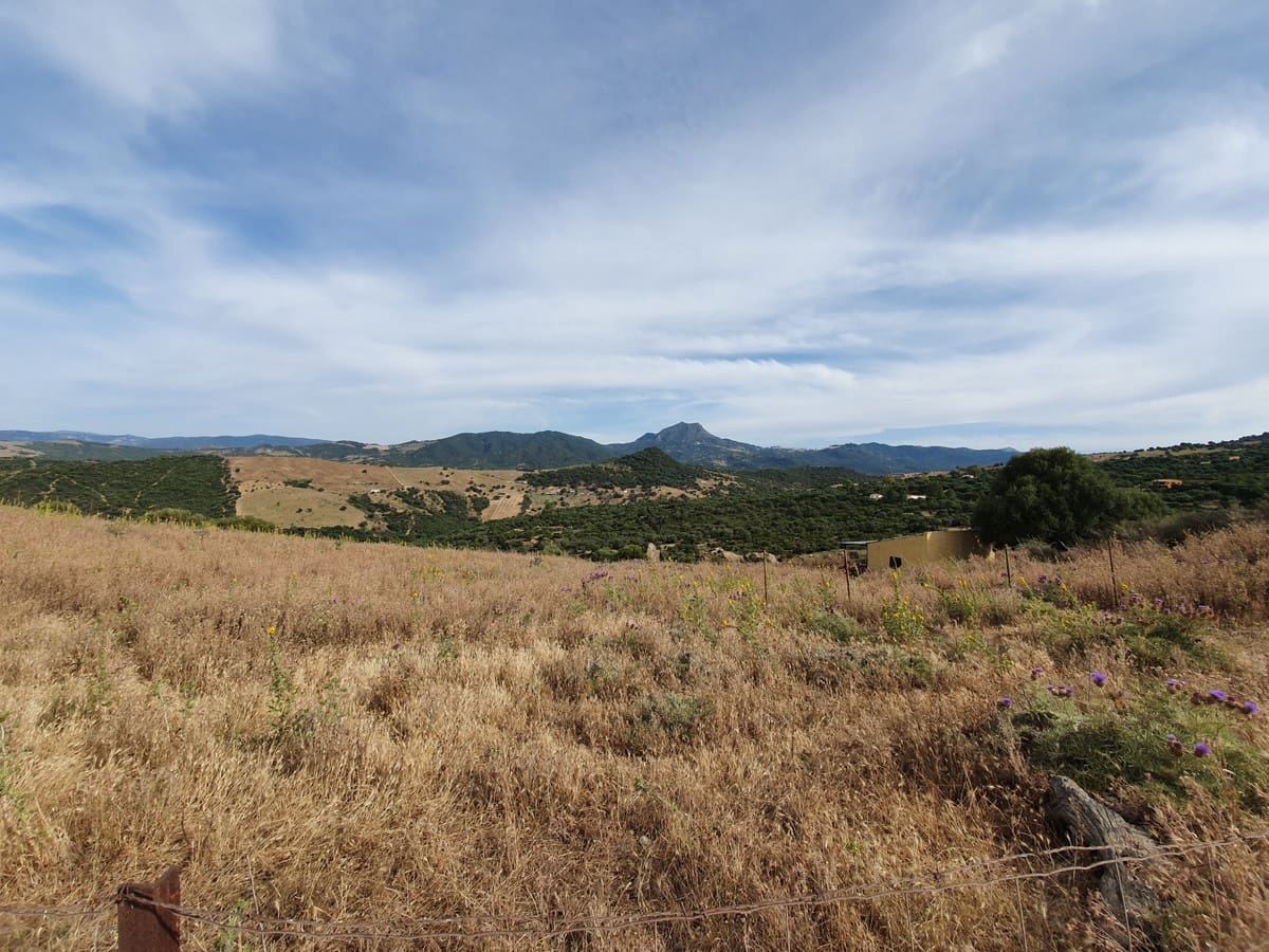 Ubebygd land til salgs i Casares - € 325 000 (Ref: 9524673)