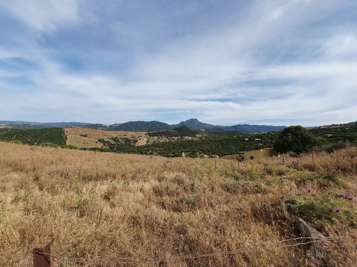 Undeveloped Land for sale in Casares - € 325,000 (Ref: 9524673)