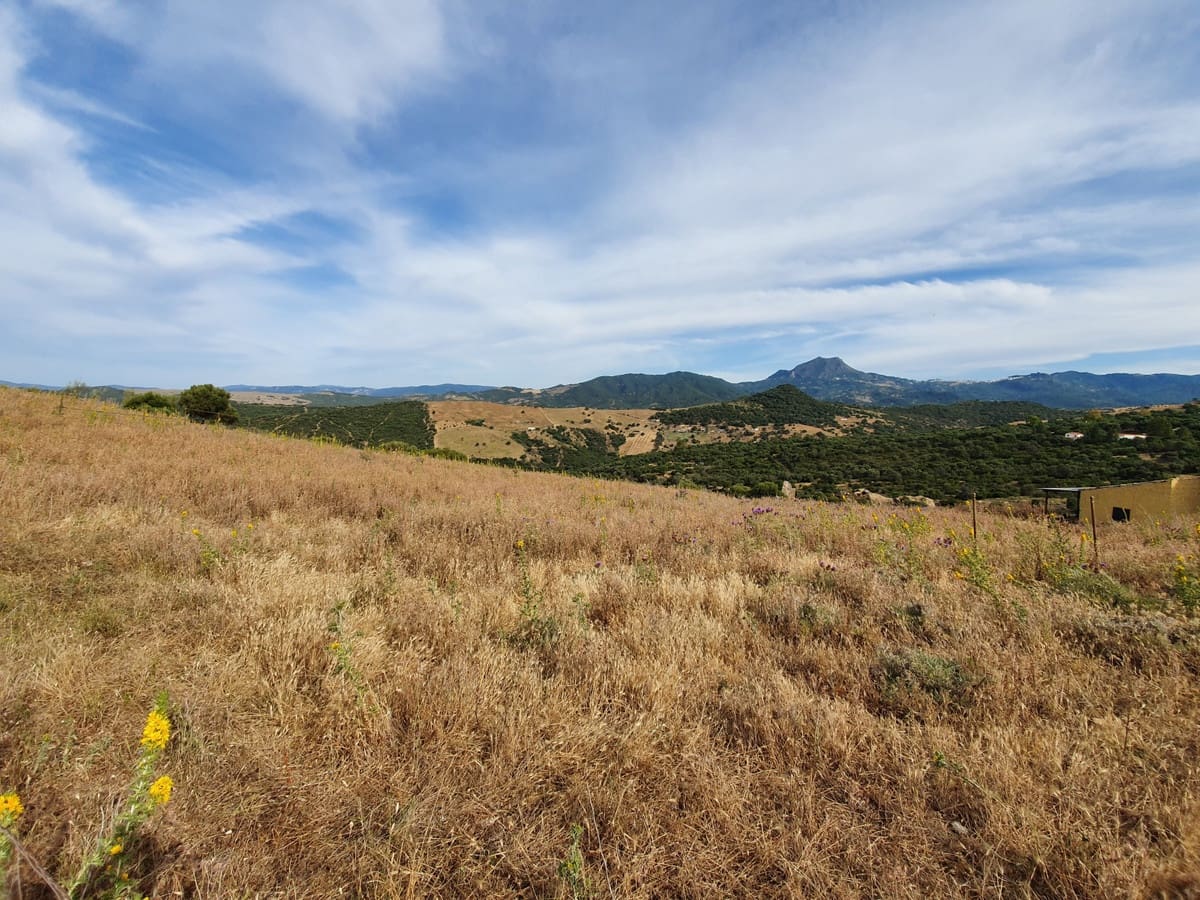 Undeveloped Land for sale in Casares - € 325,000 (Ref: 9524673)