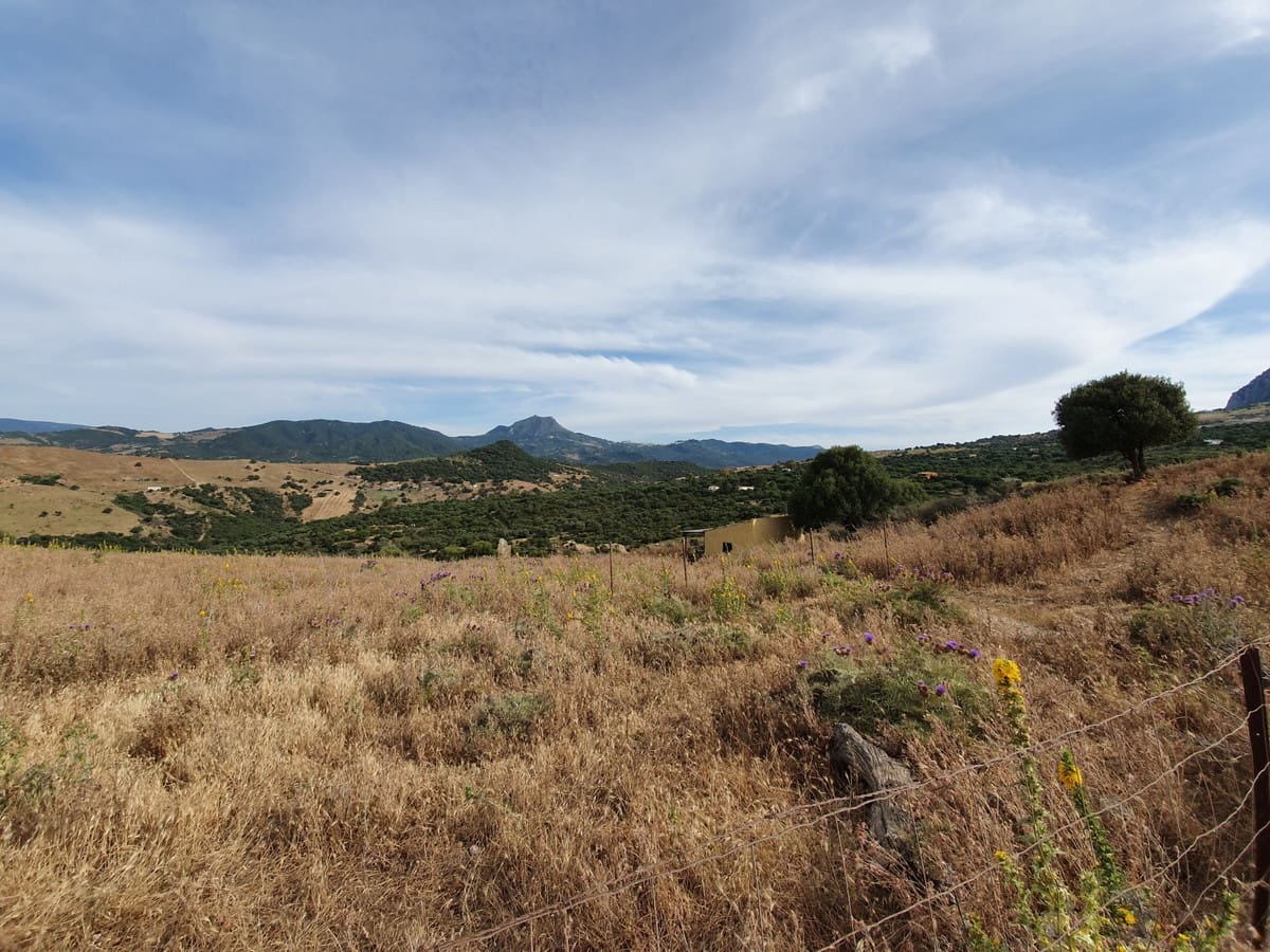 Undeveloped Land for sale in Casares - € 325,000 (Ref: 9524673)