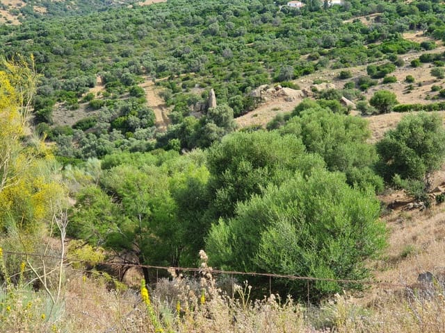 Rakentamaton maa myytävänä paikassa Casares Pueblo, Casares - 325 000 € (Ref: 9524673)