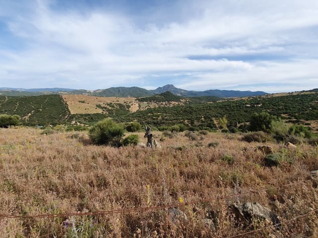Rakentamaton maa myytävänä paikassa Casares Pueblo, Casares - 325 000 € (Ref: 9524673)