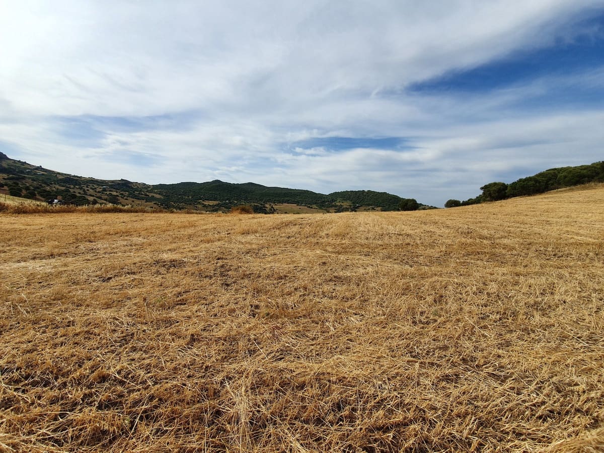 Undeveloped Land for sale in Casares - € 325,000 (Ref: 9524673)