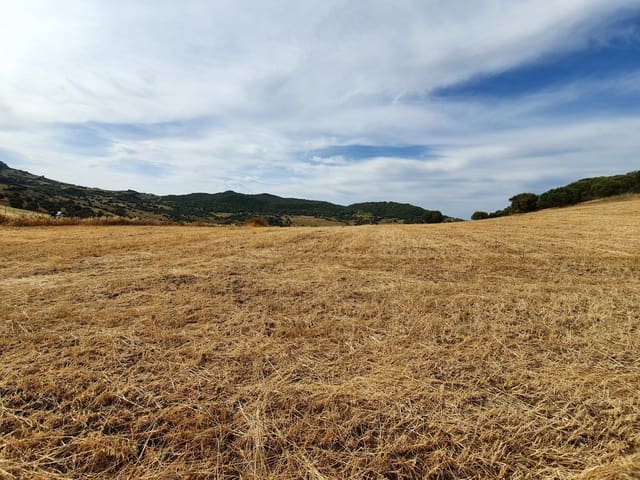 Rakentamaton maa myytävänä paikassa Casares Pueblo, Casares - 325 000 € (Ref: 9524673)