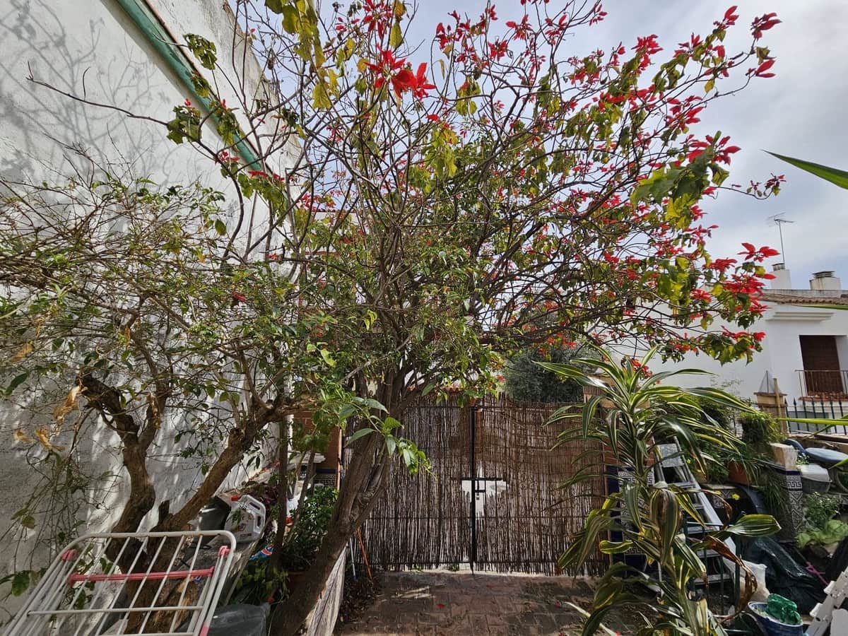 5 quarto Casa em Banda para venda em Estepona com garagem - 425 000 € (Ref: 9547286)