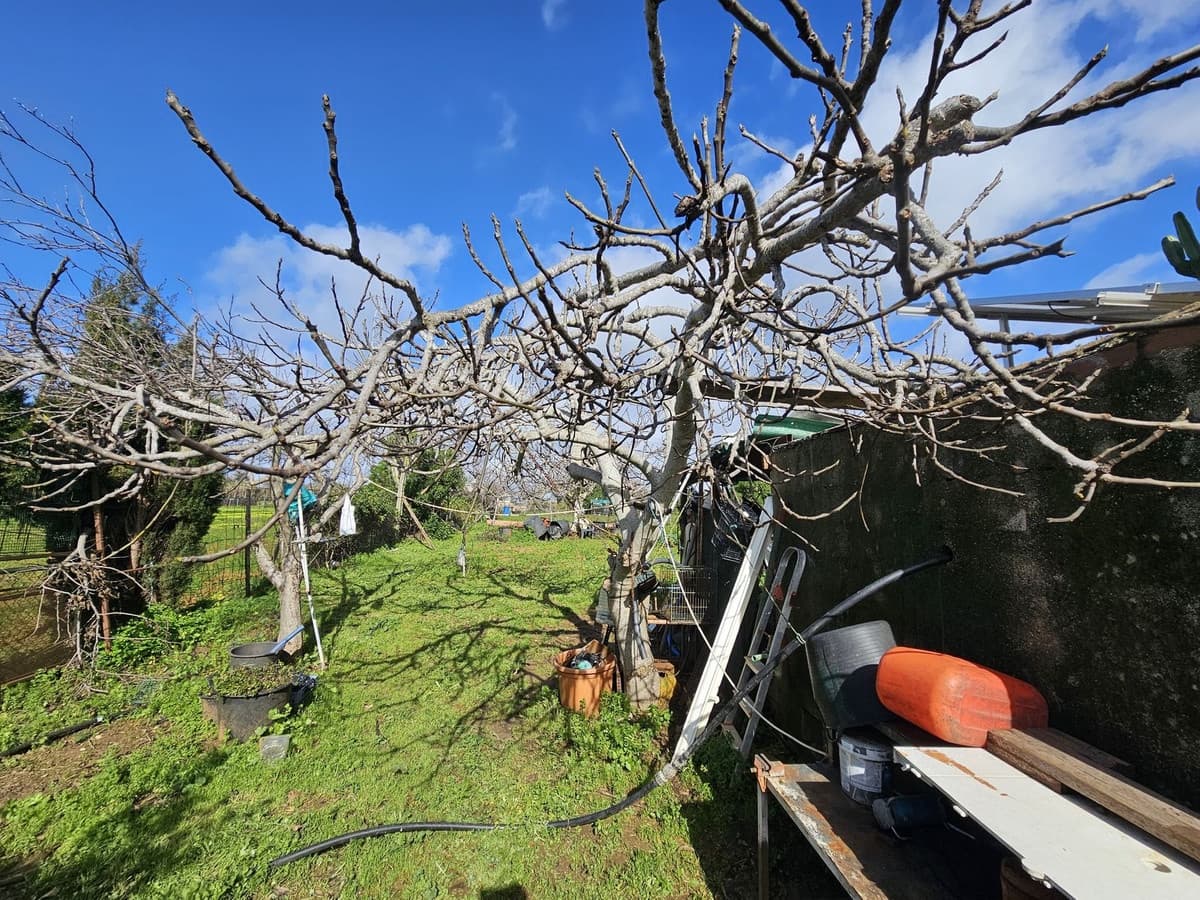2 bedroom Finca/Country House for sale in Casares with pool - € 385,000 (Ref: 9606423)