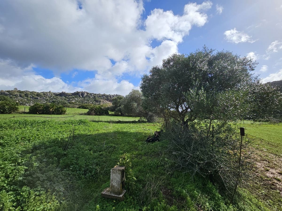 2 soveværelse Finca/Landehus til salg i Casares med swimmingpool - € 325.000 (Ref: 9606423)