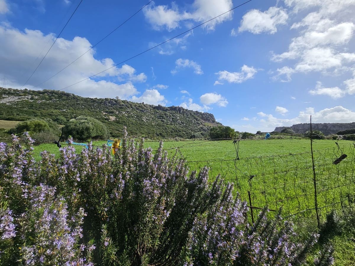 2 soveværelse Finca/Landehus til salg i Casares med swimmingpool - € 325.000 (Ref: 9606423)