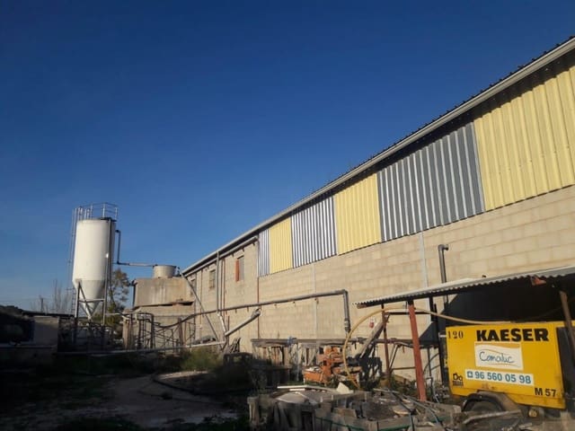 Biznes na sprzedaż w Novelda - 336 000 € (Ref: 10030789)