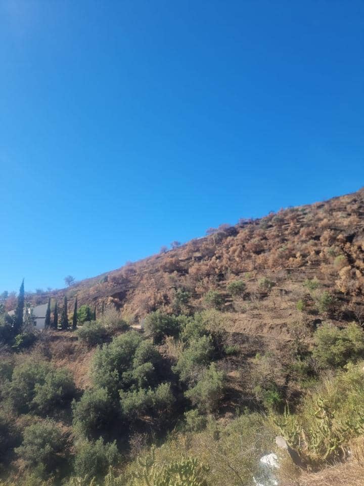 Ubebygd land til salgs i Almunecar - € 47 000 (Ref: 8604295)