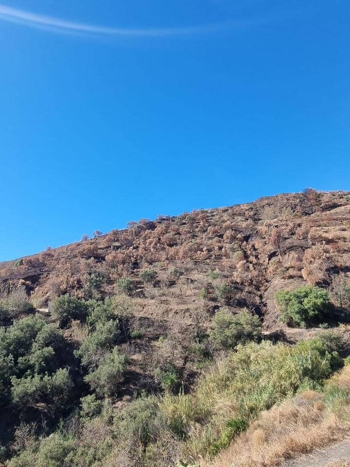 Ubebygd land til salgs i Almunecar - € 47 000 (Ref: 8604295)