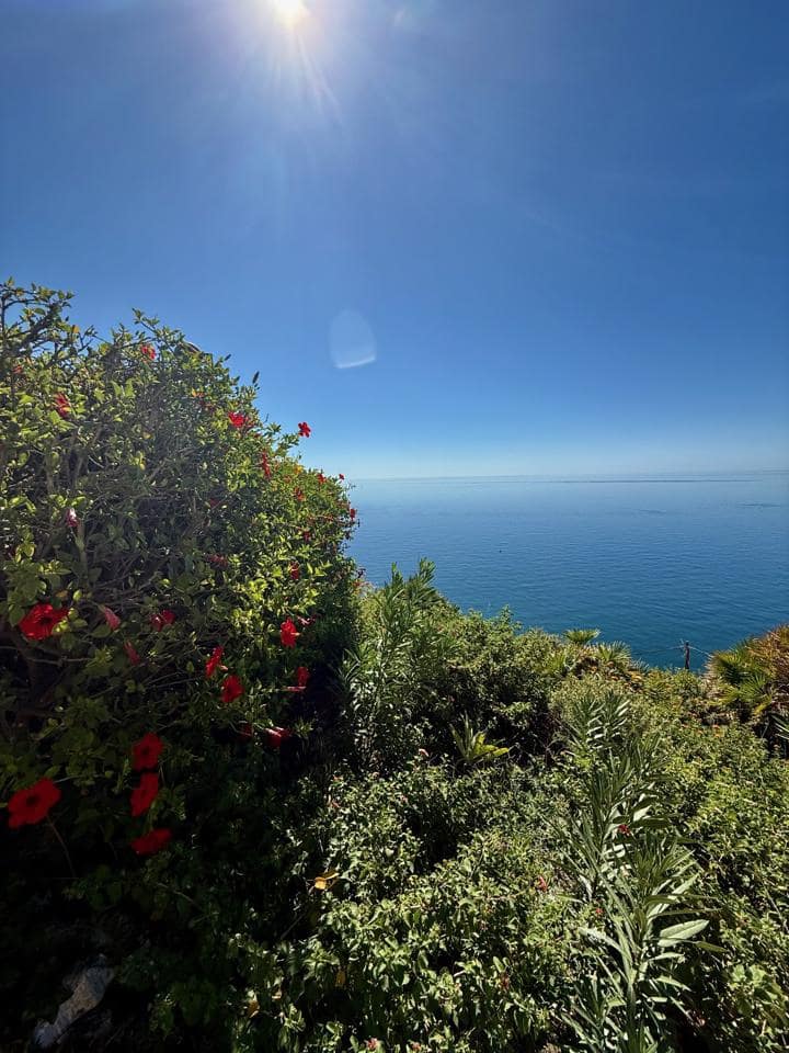 4 sovrum Villa till salu i Almunecar med pool garage - 395 000 € (Ref: 9227323)