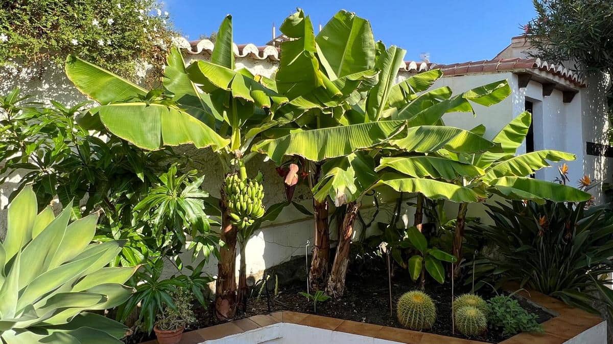 3 bedroom Villa for sale in Almunecar with pool garage - € 695,000 (Ref: 9336955)