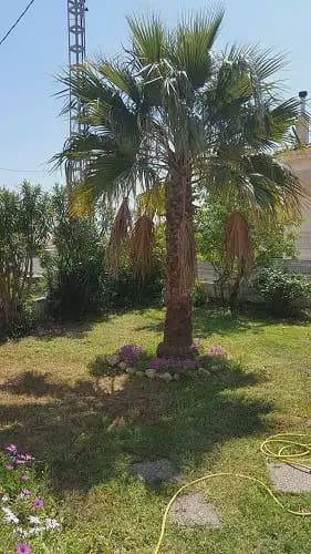 3 chambre Villa/Maison à vendre à Peniscola avec garage - 242 000 € (Ref: 10016666)