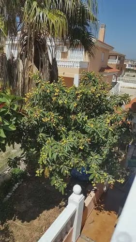 3 chambre Villa/Maison à vendre à Peniscola avec garage - 242 000 € (Ref: 10016666)