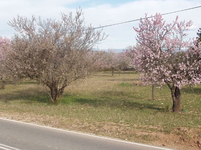 Finca/Country House for sale in Càlig - € 39,000 (Ref: 6489231)